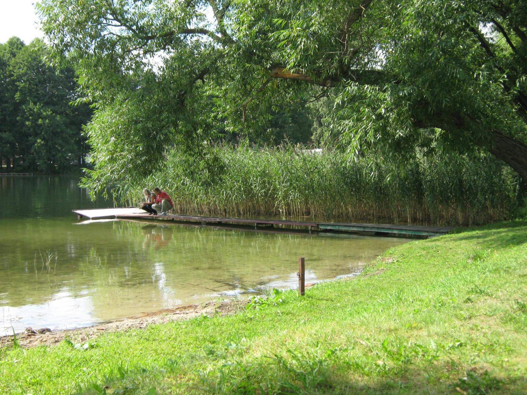 Kosewo Kasztanowe Wrota别墅 外观 照片
